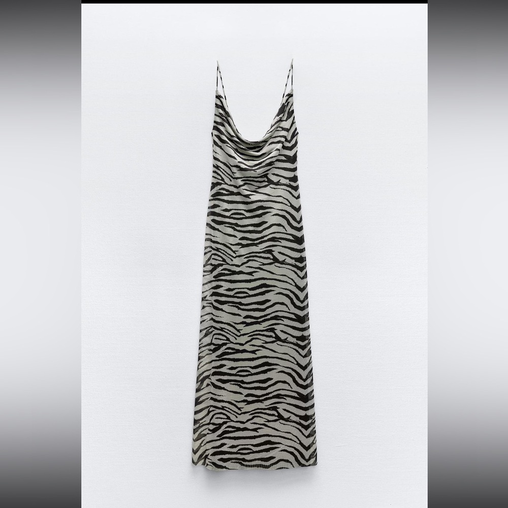 Zara Zebra Dress